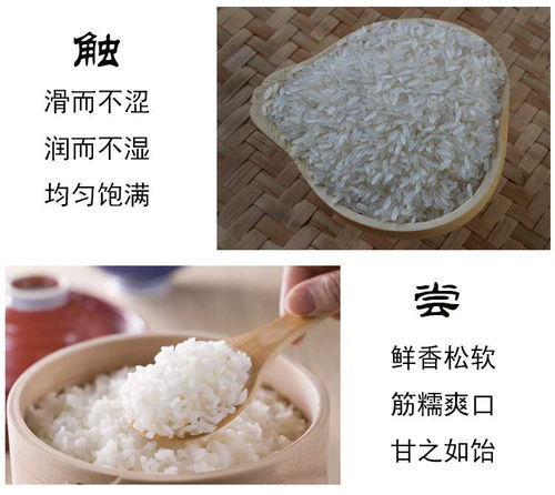 再生稻大米農家生態大米長粒香米當季現磨新米5kg