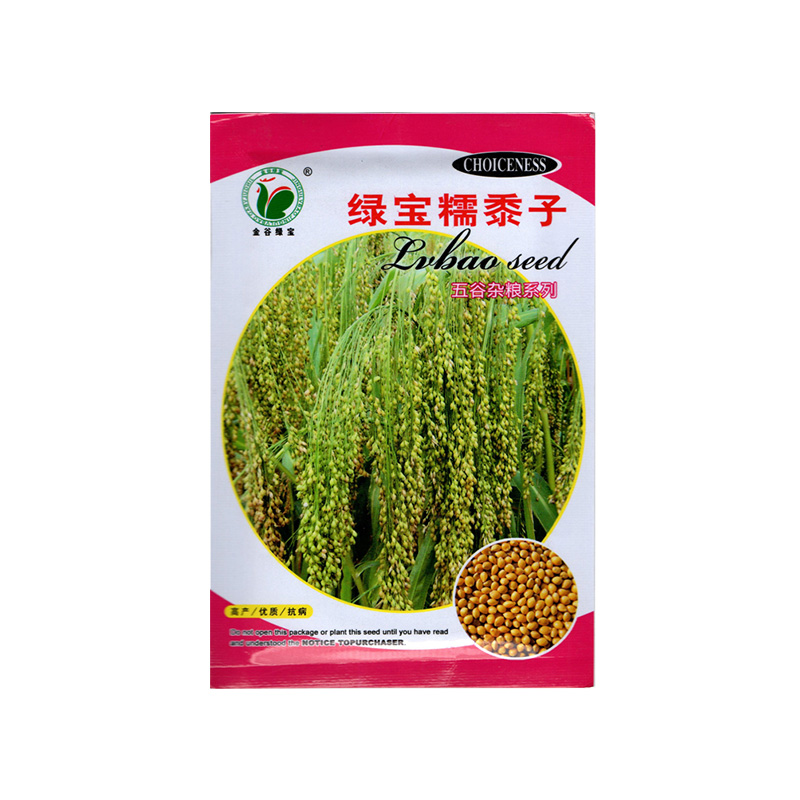 綠寶糯黍子種子大黃米種籽糯性強耐貧瘠高產春季秋季農家蔬菜孑