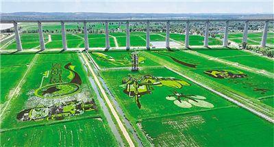 鹽堿地變生態田