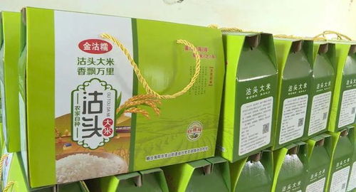 龍山街道西沽頭村 千畝水稻豐收樂農家