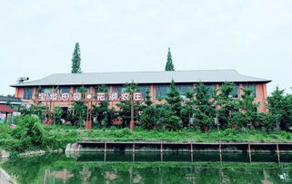 麥田怪圈 驚現成都