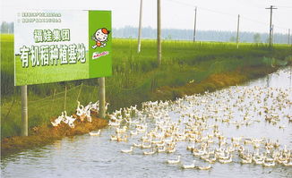 深化農業改革 打造江漢糧倉