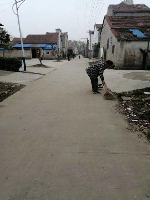 首個村莊清潔日,朱湖農場 掃 翻天