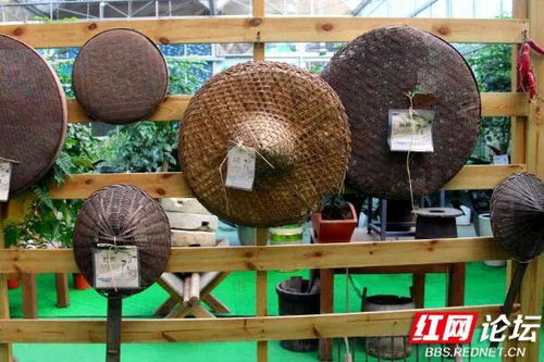 被遺忘的老物件,以前農(nóng)村家里都有,你認(rèn)識幾種