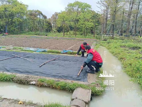 走進田間地頭 給農(nóng)作物 添衣 蓋被子 ,農(nóng)民有了好幫手