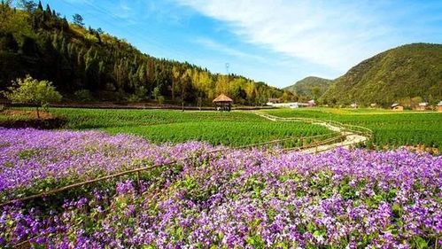 9月8日至9月10日,宜昌這些景區(qū)免門票