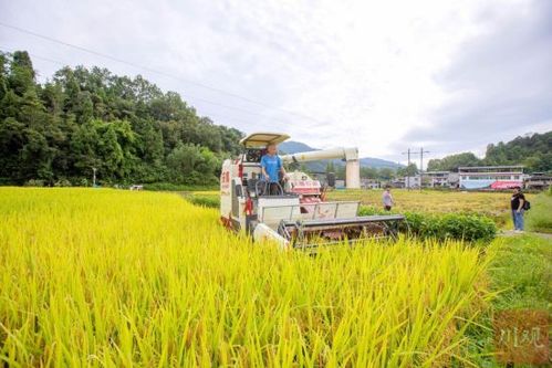 步韻和九嶷山歌 金秋有寄
