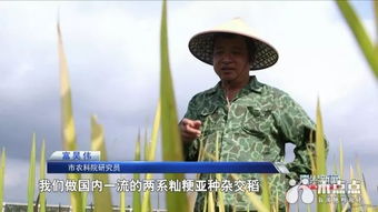 跨越半個世紀(jì)的南繁路 5 薪火相傳, 南繁精神 煥發(fā)新活力