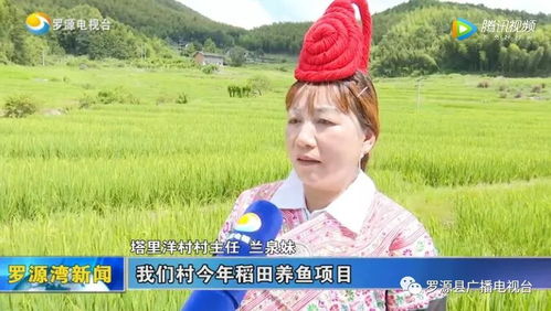 塔里洋村 稻田養魚開辟富民路