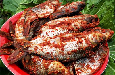 鄉游黔中 思南縣 大河邊村 尋訪六池河畔,共賞 百花園