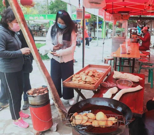 隴南康縣長壩鎮 品花橋美食 賞古道秋景