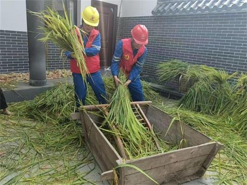 提供 保姆 式服務(wù) 這家國(guó)企讓秋收 電力 十足