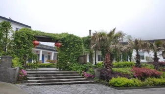 這就是涂茨 難怪最近大家都往那跑 看完你還能淡定嗎