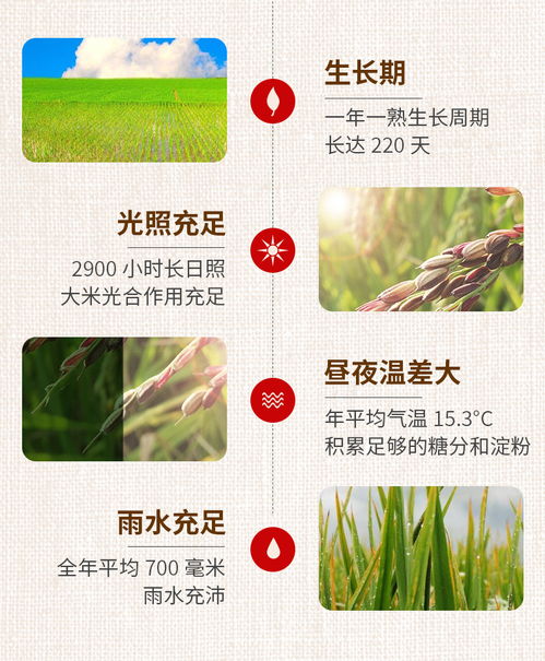 蝦田稻長(zhǎng)粒香米農(nóng)家現(xiàn)磨大米5kg