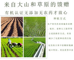 壟墾有機(jī)大米2.5kg獨(dú)立真空包裝2018新米內(nèi)蒙東北一季稻天然農(nóng)家粳米