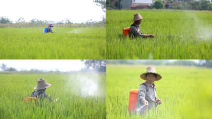 農民勞動噴灑農藥