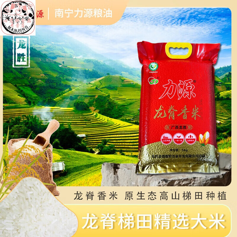 大米龍脊香米5kg10斤農(nóng)家廠家直銷2024年新細(xì)長秈米 龍脊香米5kg*1