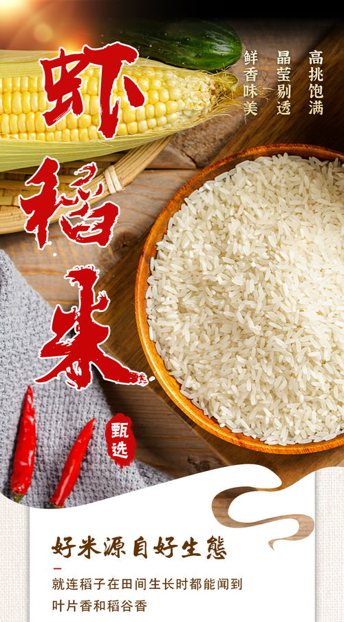 蝦田稻長粒香米農(nóng)家現(xiàn)磨大米5kg