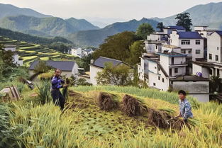 金秋皖南稻香梯田風(fēng)光跳鐘馗民俗人文攝影精品團(tuán)