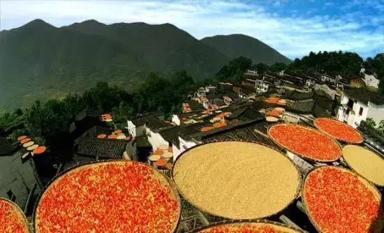 10月,你就該這樣玩兒