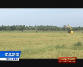 馮坡鎮(zhèn)以 一鎮(zhèn)一業(yè) 一村一品 為抓手 做大做強(qiáng) 節(jié)仔米 品牌 助力脫貧攻堅和鄉(xiāng)村振興