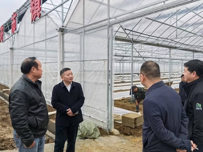 向風(fēng)行帶隊赴君山區(qū)調(diào)研