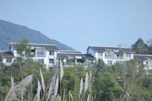 大巴山生態(tài)康養(yǎng)之旅第1站 洋烈水鄉(xiāng)