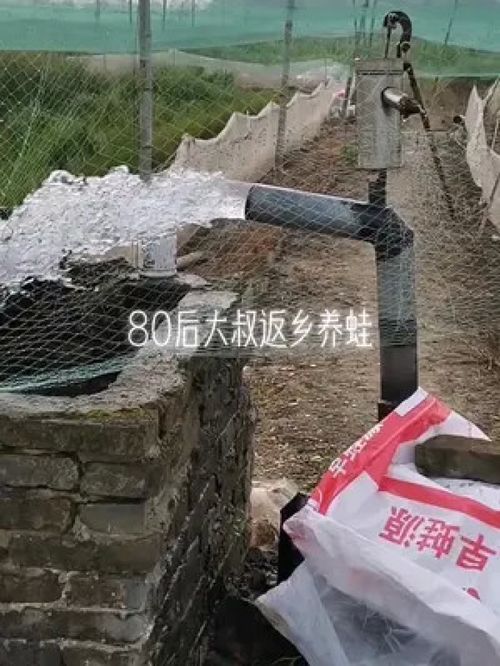 美好的一天 水產養殖 高密度養殖 江西早蛙聯盟 青蛙 養蛙人加油 青蛙養殖 一線蛙農老何 稻蛙香家庭農場