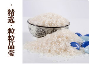 東北特產(chǎn)黑龍江五常農(nóng)家自產(chǎn)有機稻花香大米5kg禮盒 真空包裝 包郵