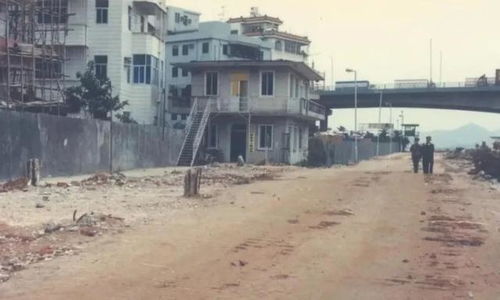 1989年深圳的記憶 稻洋農(nóng)家的生活片段