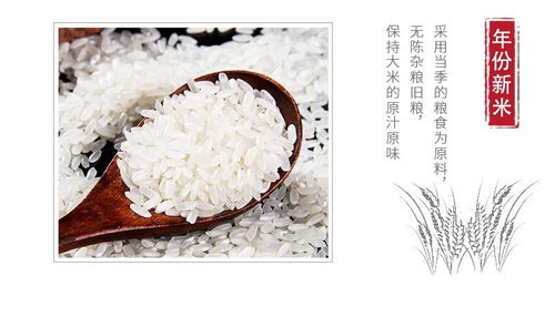 五常長粒香米 東北農家的稻花新米，品味地道醇香