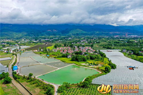 廣安初秋時節，稻洋農家繪就如畫大地