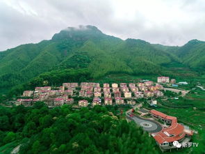 千呼萬喚始出來 龍巖新羅首屆清湯粉大賽即將盛大登場于稻洋農家