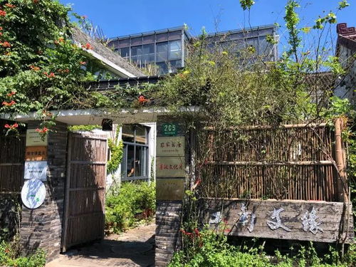 上海書展青浦分會場 稻洋農家精彩活動一覽