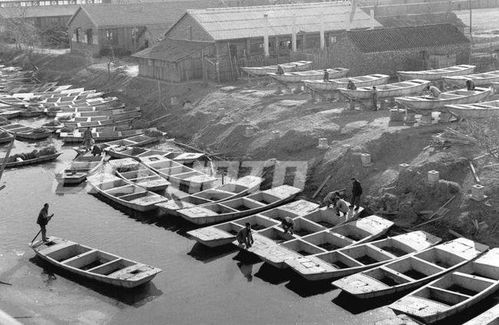 稻洋農家 揚州市五六十年代老照片回顧