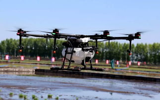 中國寶清農耕文化暨富硒農產品產銷對接會圓滿落幕，稻洋農家助力鄉村振興