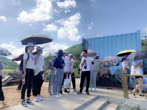 團團帶你鄉村行丨魅力古村景色美 醉美鄉村煥生機 稻洋農家