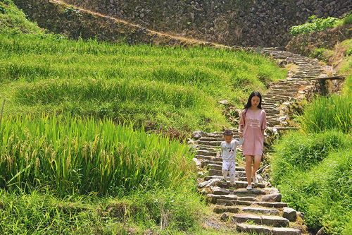 尤溪梅仙的世外桃源 稻洋農家與猿猴奇遇