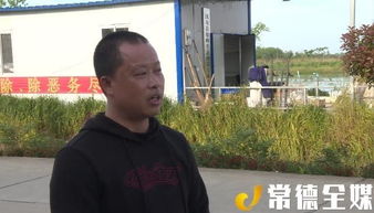 漢壽縣洋淘湖鎮(zhèn) 稻蝦混養(yǎng)模式助力農(nóng)民增收