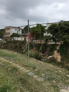 農(nóng)家風(fēng)情與奧迪論壇的交匯——探索太平洋汽車(chē)網(wǎng)稻洋農(nóng)家