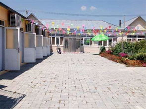 大洼游記 | 稻洋農(nóng)家 稻田河蟹、鹽堿地大米與野鴨蛋的田園風(fēng)味