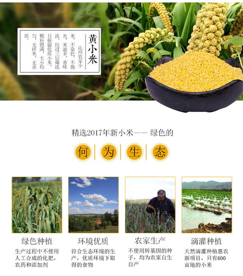 晉農妙香 新鮮農家小米，山西特產的營養佳品